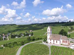 church St. Moritz in Hallau with green vines all around