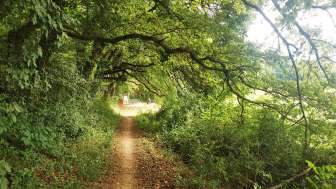 Barbecue Spot Chuttler