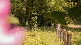 Schaffhausen Forest Cemetery Schaffhausen Forest Cemetery