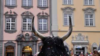 You can see a headdress with two horns and black fur from behind. Confetti hangs in the fur.