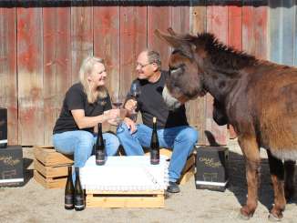 Denise and Hansueli Graf from Graf und Gräfin Hofgut are both sitting on wooden crates. They clink glasses of red wine together. To the right are two donkeys.
