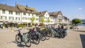 Various bicycles are parked in a bicycle parking lot between the houses and the Rhine.