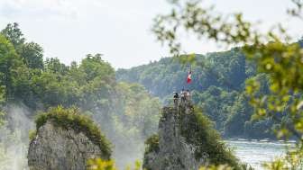 Early Bird: Rhine Falls & Wine in Klettgau