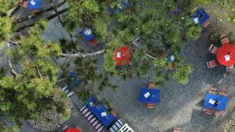 Carcajou - Rheintalgarten Carcajou - Rheintalgarten