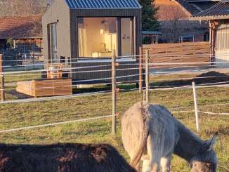 A tiny house stands right next to a donkey pen where two donkeys are grazing.