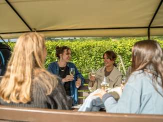 Four friends are sitting in a carriage, enjoying a glass of white wine together. They are driving through the vineyards.