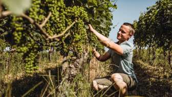 Bringolf Winery