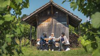 Wine hike Stein am Rhein