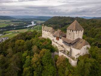 An old castle on a hill. Surrounded by a forest. A few houses and a river can be seen in the background.
