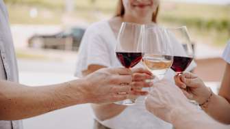 Wine tasting with vineyard tour in Stein am Rhein