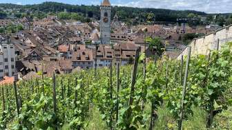 Vineyard Estate City of Schaffhausen, City Garden Center