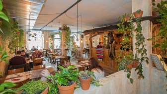 US-MEX Schaffhausen US-MEX Schaffhausen