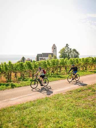 An e-biker and a gravel biker are riding together on a road through the vines. A church can be seen in the background.