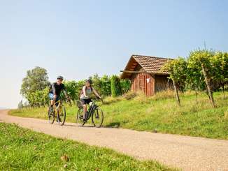 One person is riding a gravel bike and another is riding an e-bike on a road through the vineyards.