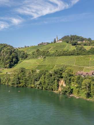 Two stand-up paddlers are paddling on the Rhine in Rüdlingen. Above the vines on the bank is the church.