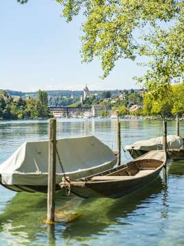 Entlang des Ufer sind Weidlinge angemacht. Im Hintergrund sieht man den Munot.