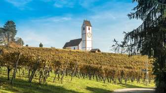 Winegrowers' Cooperative Hallau/Oberhallau