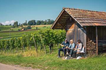Hallau wine Three friends are sitting on a wooden bench in front of a Räbhüüsli. Someone is pouring white wine into glasses.