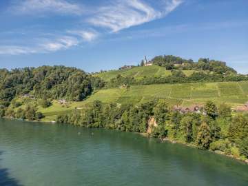Two stand-up paddlers are paddling on the Rhine in Rüdlingen. Above the vines on the bank is the church.