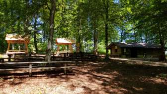 Waldwirtschaft Schlossranden Waldwirtschaft Schlossranden