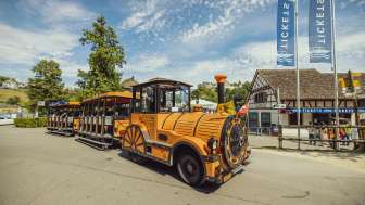 Rhine Falls Express