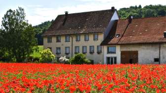 Organic farm Tappolet Organic farm Tappolet