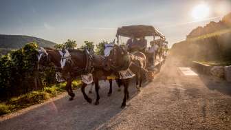 Fondue or raclette horse-drawn carriage ride