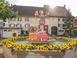 Fountain decorated with sunflowers, inspired by the Hallaugias in Hallau