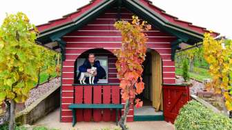 Wine tasting directly in the vineyard