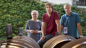 Baumann Winery