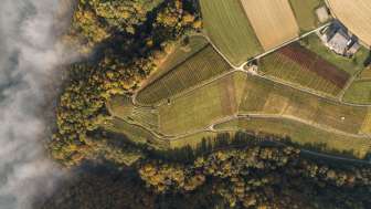 Kümin Weinbau - Wine culture since 1902 Kümin Weinbau - Wine culture since 1902