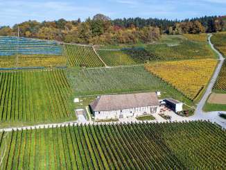 An old wine press nestled among the vineyards in the fall.