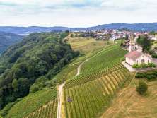 Aerial view of Buchberg Rüdlingen with a church and a village standing on top of a vine-covered hand. Below the vines is the Rhine.