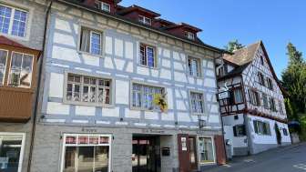 Schwanen Cinema & Theater