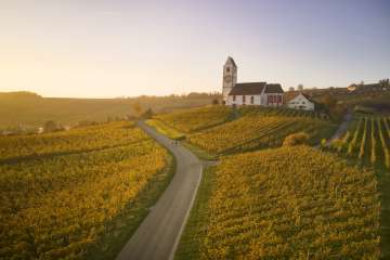 Two e-bikers ride along a road through golden vineyards. A church sits enthroned on a hill.