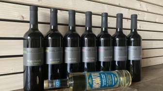 vinoTon wines - Heusi Rebbau vinoTon wines - Heusi Rebbau