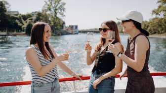 Wii-Schiff Schaffhausen-Stein am Rhein