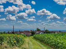 View across a field to the rooftops of a village. You can see as far as the Swiss Alps.