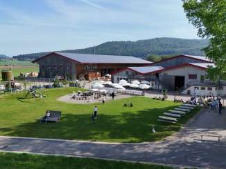 There's a lot of activity at the Bolderhof.