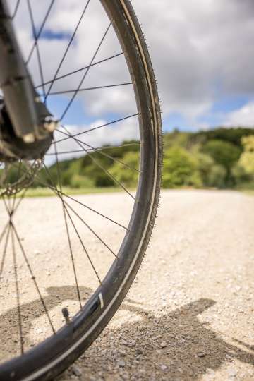 Part of a bicycle wheel riding on a nature path. The edge of the forest is visible in the background.