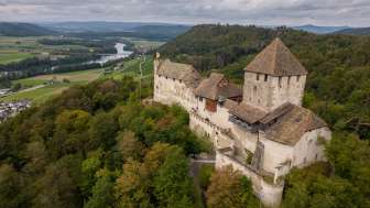 An old castle on a hill, surrounded by a forest. In the background, some houses and a river are visible.