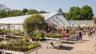 Altra flower store Altra flower store