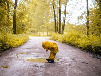 A child is wearing a yellow rain jacket and rain pants and black rubber boots. He is playing in a puddle of rain on a forest path.
