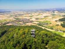 In the foreground you can see a tower rising out of the forest. In the background you can see a flat landscape with many villages and fields.