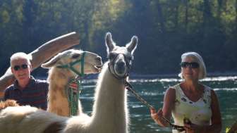 Wyland Usziit Wyland Usziit