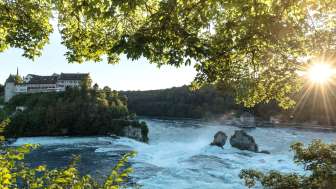 Rhine Falls