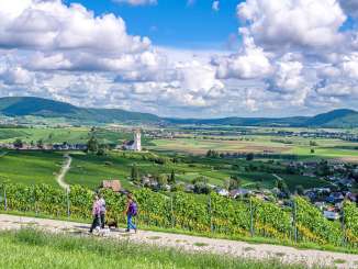 Three people are walking their dog along a nature trail with a view of the vineyards and church . Moritz church .