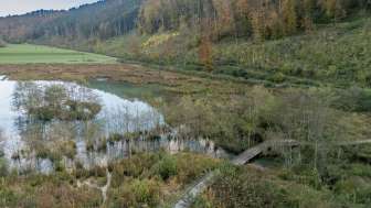 Biotope "Wangental Natur Pur"