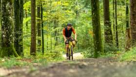 A man riding a yellow gravel bike rides along a nature trail through the forest.