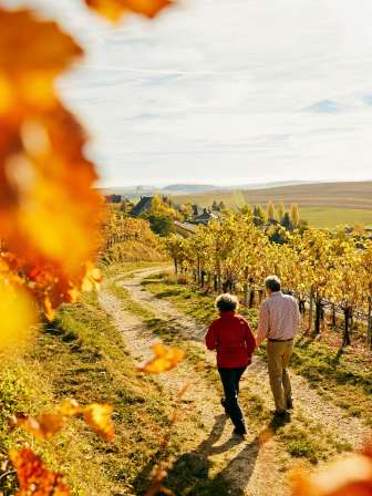 Two people are hiking through the autumn vineyards.
